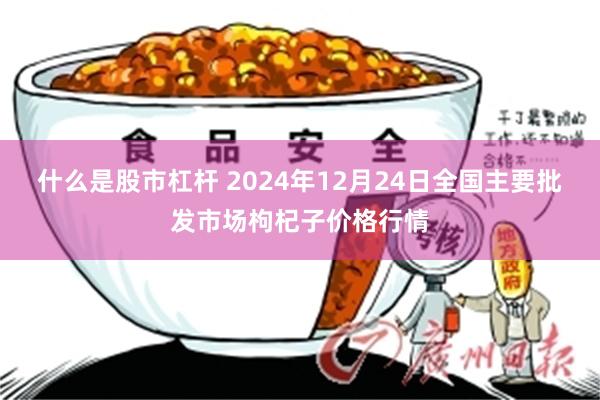 什么是股市杠杆 2024年12月24日全国主要批发市场枸杞子价格行情