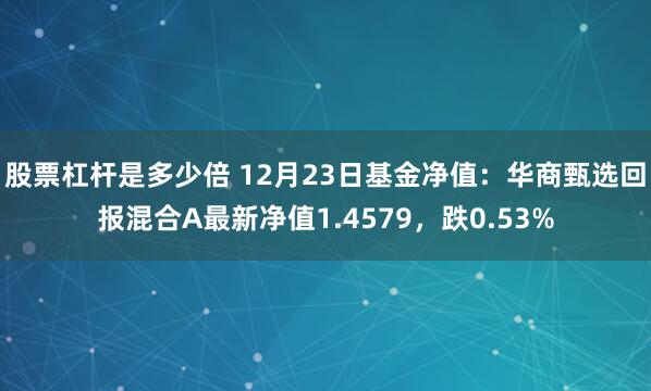 股票杠杆是多少倍 12月23日基金净值：华商甄选回报混合A最新净值1.4579，跌0.53%