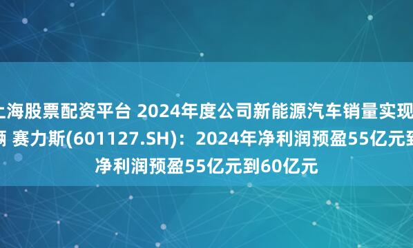 上海股票配资平台 2024年度公司新能源汽车销量实现42.69万辆 赛力斯(601127.SH)：2024年净利润预盈55亿元到60亿元