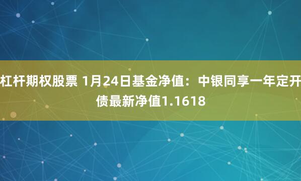 杠杆期权股票 1月24日基金净值：中银同享一年定开债最新净值1.1618