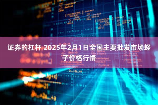 证券的杠杆 2025年2月1日全国主要批发市场蛏子价格行情