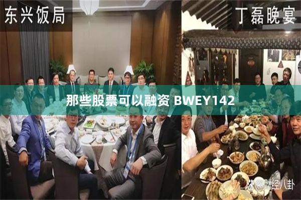 那些股票可以融资 BWEY142