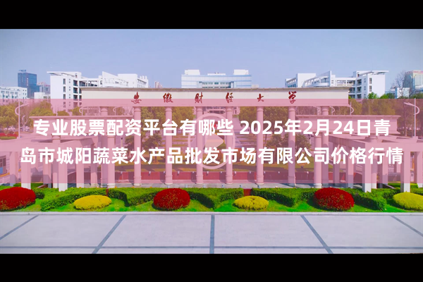 专业股票配资平台有哪些 2025年2月24日青岛市城阳蔬菜水产品批发市场有限公司价格行情