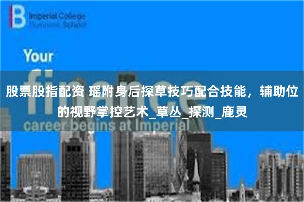 股票股指配资 瑶附身后探草技巧配合技能，辅助位的视野掌控艺术_草丛_探测_鹿灵